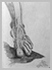Sketch of Foot from statue