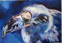 Oil painting of a vulture head "Blue Vulture"